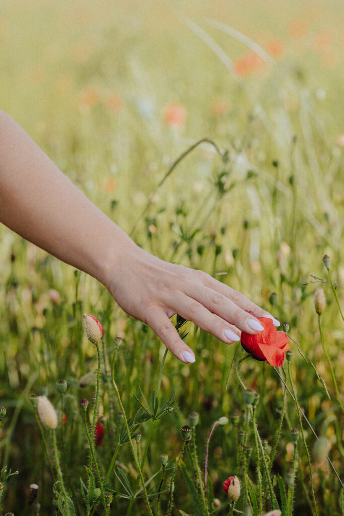 Fotograf Reutlingen Tübingen Hochzeit Paare Frau läuft in einem Mohnblumenfeld und berührt eine Blume mit ihrer Hand in Tübingen